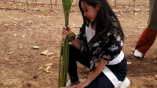 Jessica Grace Harvery