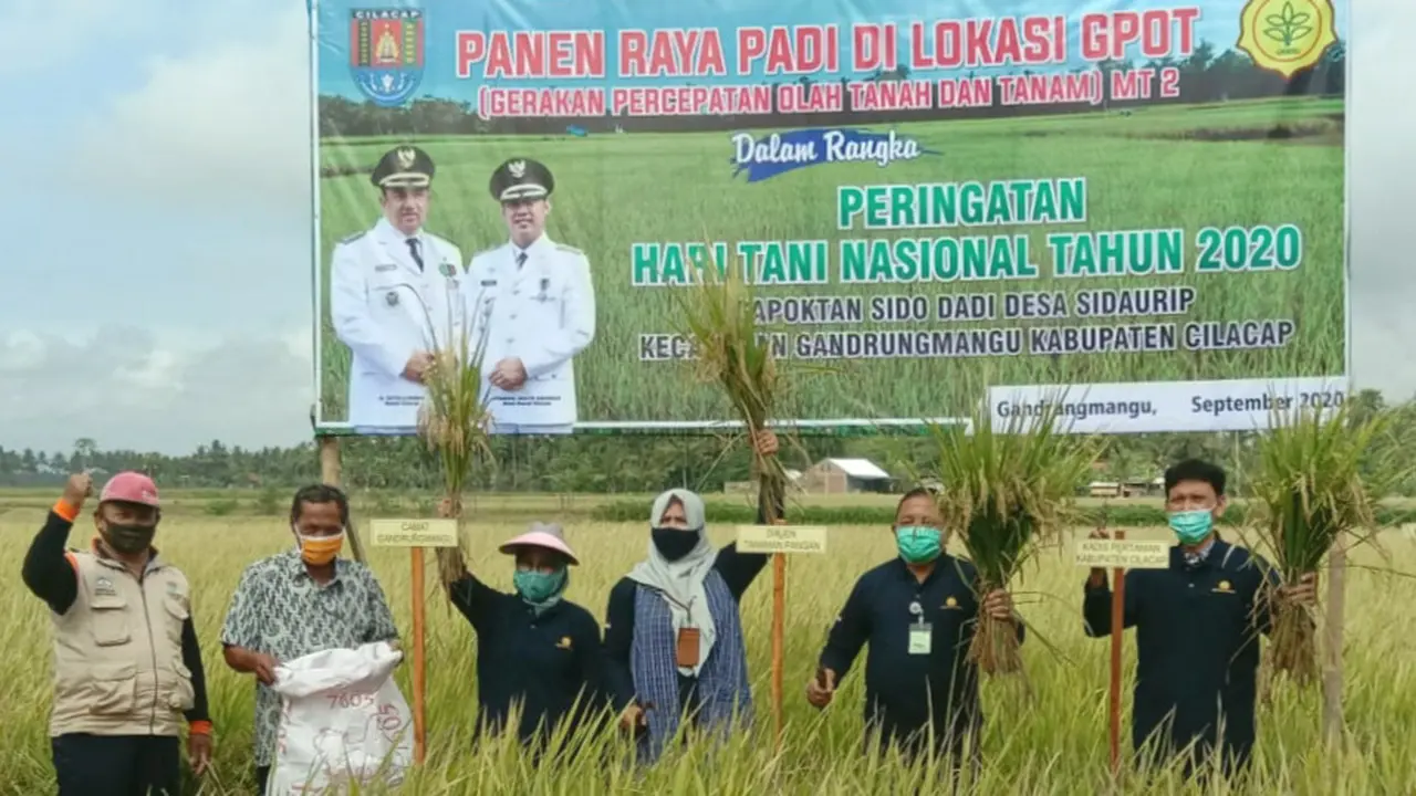 Panen Raya Petani di Cilacap Kementan