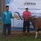 Badan Pengelola Keuangan Haji (BPKH) kembali menyelenggarakan program Sedekah Kurban pada tahun 1445 H/2024 M (Istimewa)