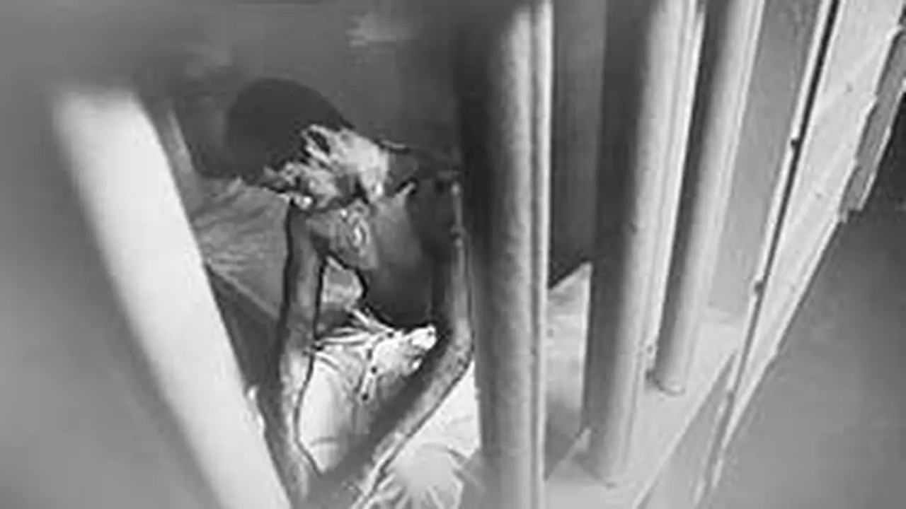 100203aFokus.jpg