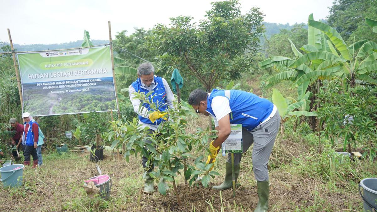 Pertamina Hijaukan Ratusan Hektare Lahan, Gandeng 3 Kampus