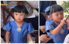 Potret Cantik Menggemaskan Ameena di Acara Lamaran Thariq Halilintar & Aaliyah Massaid, Pakai Baju Serba Biru