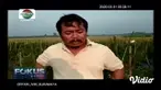 Petani cabai merah besar di Desa Medowo, Kabupaten Mojokerto merugi puluhan juta akibat harga yang anjlok dari Rp. 20000 menjadi Rp 6000 / kg sehingga tidak mencukupi untuk menutupi biaya tanam dan perawatan. Kondisi petani juga terpuruk karena seran...