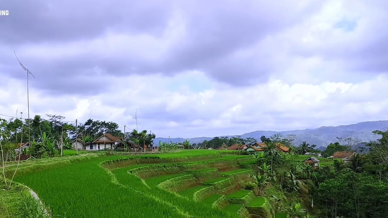 Warung Kopi di Kampung Terpencil Tasikmalaya Ini Suguhkan Pemandangan Sawah Hijau dan Bukit Berkabut