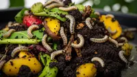 7 Langkah Pengelolaan Sampah Rumah Tangga dengan Maggot BSF, Urai 100 Kilo per Bulan