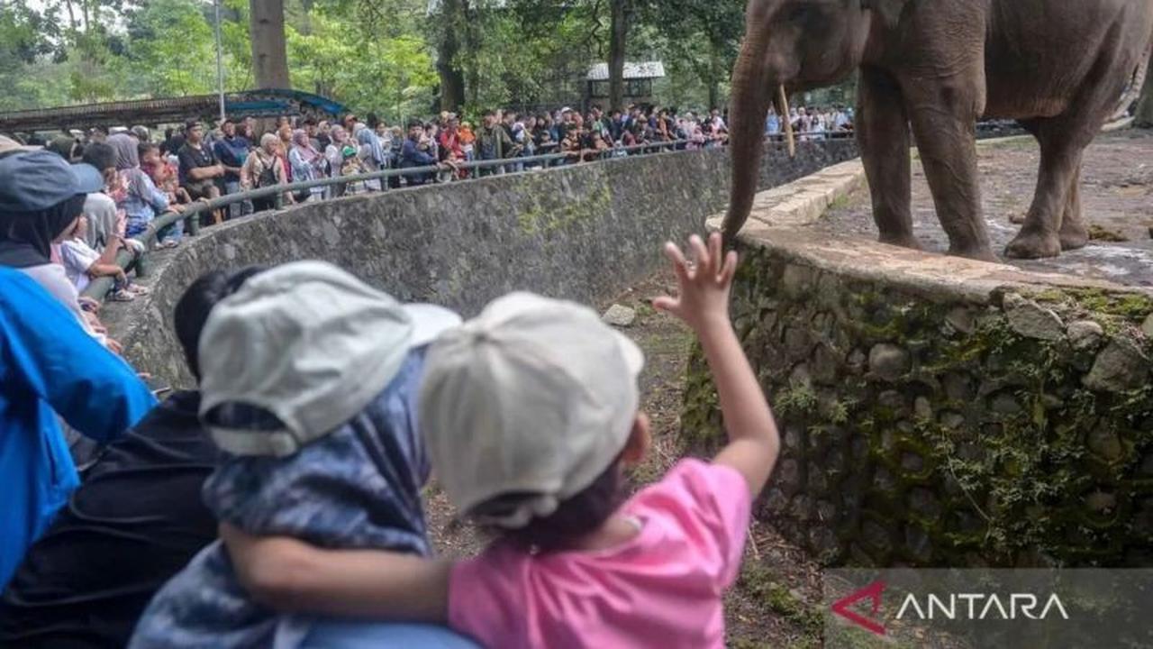 Lonjakan Pengunjung Ragunan Lebaran 2026 Capai 80 Ribu Lebih pada H+2