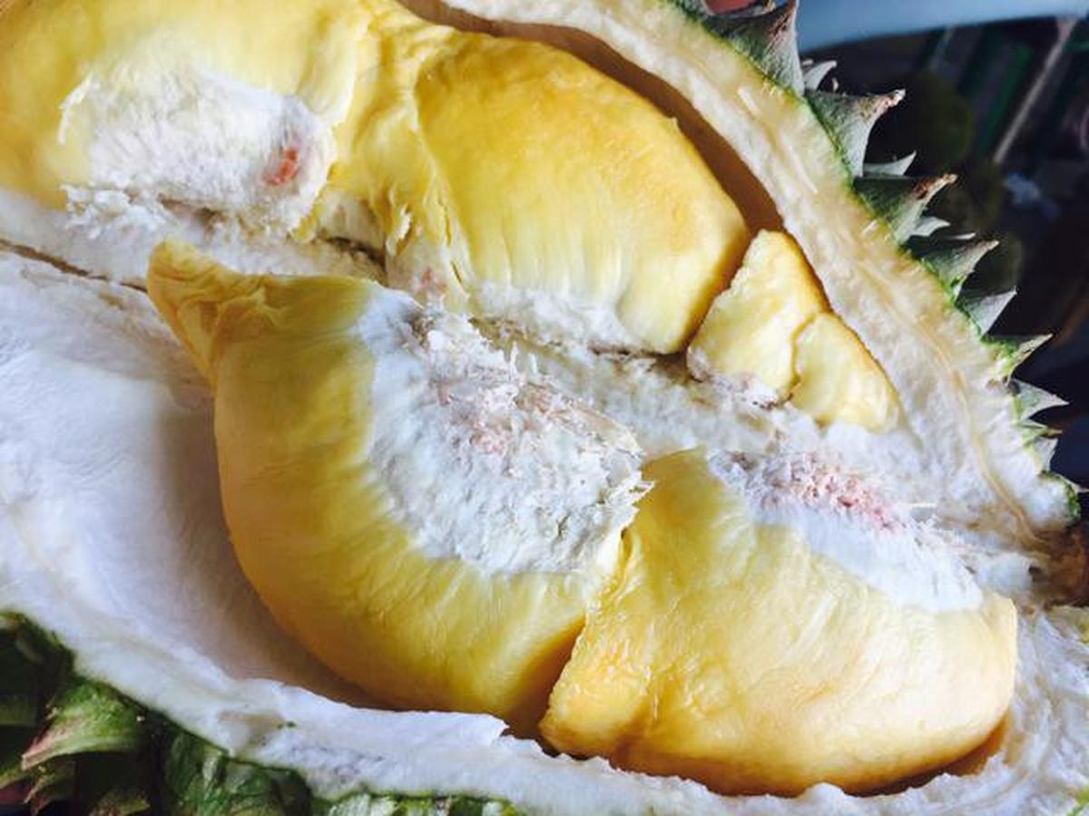Cara Menyimpan Durian di Kulkas agar Tidak Bau dan Tetap Segar
