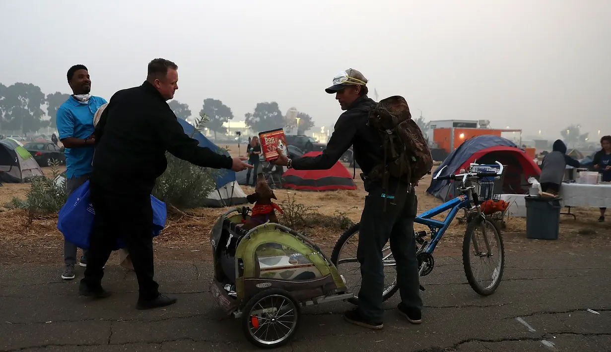 Relawan memberikan makanan anjing kepada pengungsi korban kebakaran di pusat pengungsian di tempat parkir Walmar, Chico, California (16/11). Kebakaran ini merupakan yang terparah dalam sejarah California. (AFP Photo/Justin Sullivan)