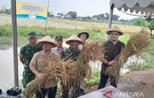 Mengapa Ilmuwan dan Politikus Sering Berbeda? Memahami Hubungan Sains dan Politik Melalui Teori Dua Komunitas