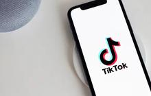 TikTok Diduga Dukung Capres Tertentu, Mahkamah Konstitusi Rumania Perintahkan Pemungutan Suara Ulang