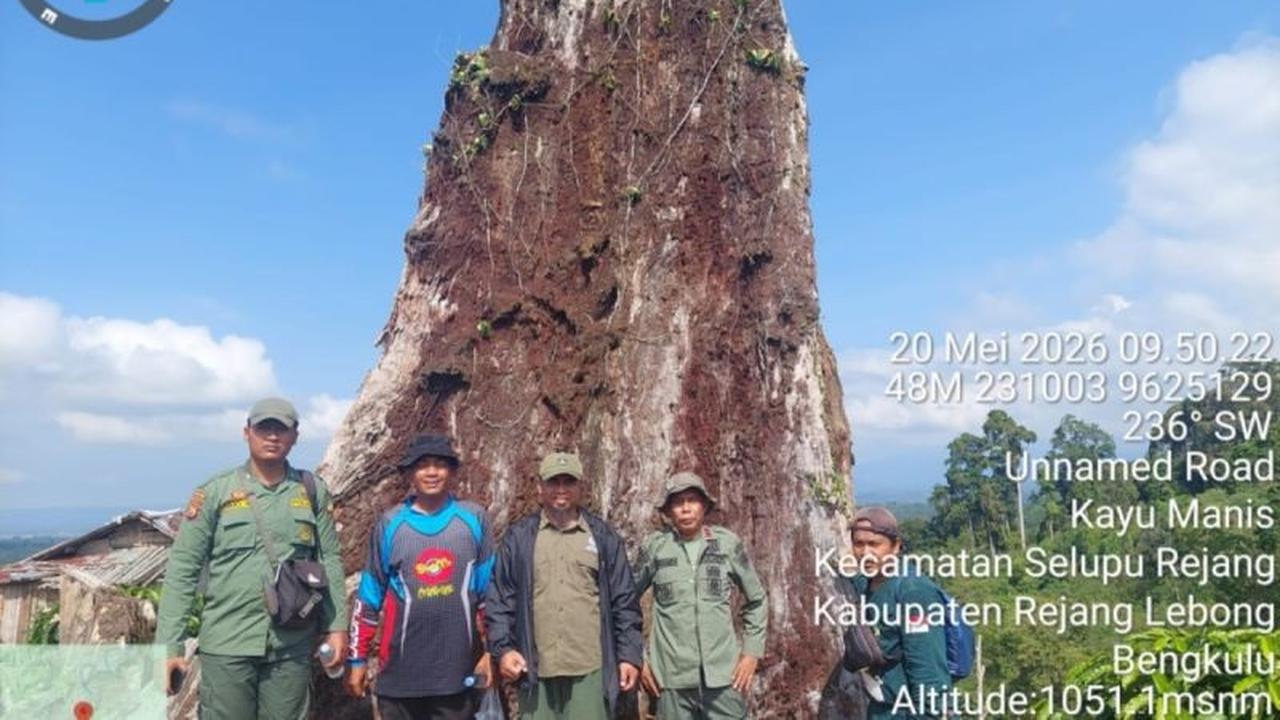 Kerusakan Hutan TNKS Bengkulu Capai 10.000 Hektare Akibat Pembalakan Liar