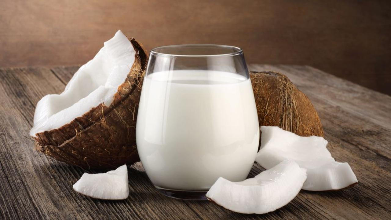 Pilihan Santan Kelapa yang Tepat Jadi Rahasia Opor Ayam Makin Mantul<br>
