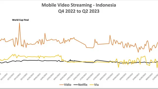 Mobile Video Streaming