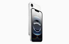 iPhone 17e Bocor, Usung Dynamic Island dan Chip A19