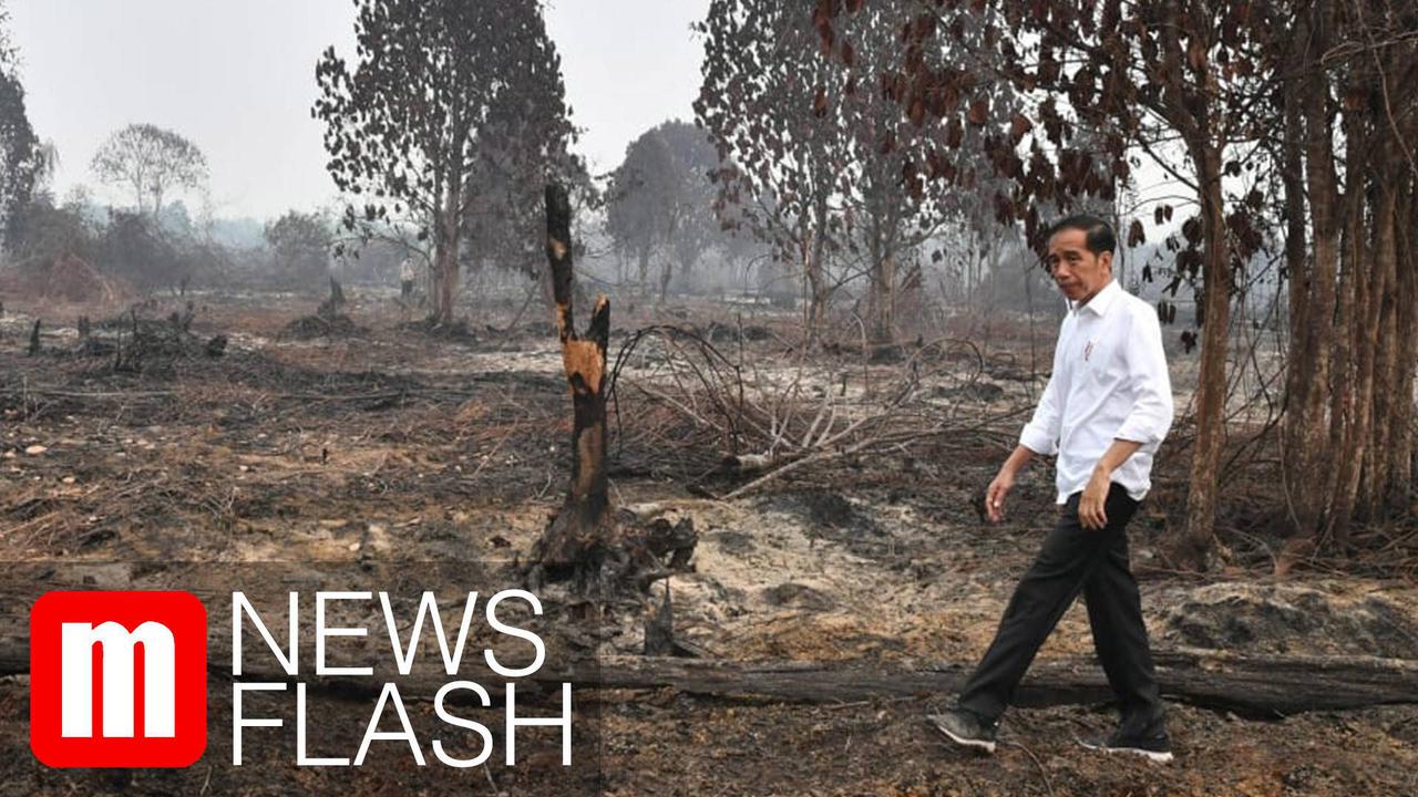 VIDEO: Catatan Redaksi Merdeka.com Untuk 5 Tahun Pemerintahan Jokowi