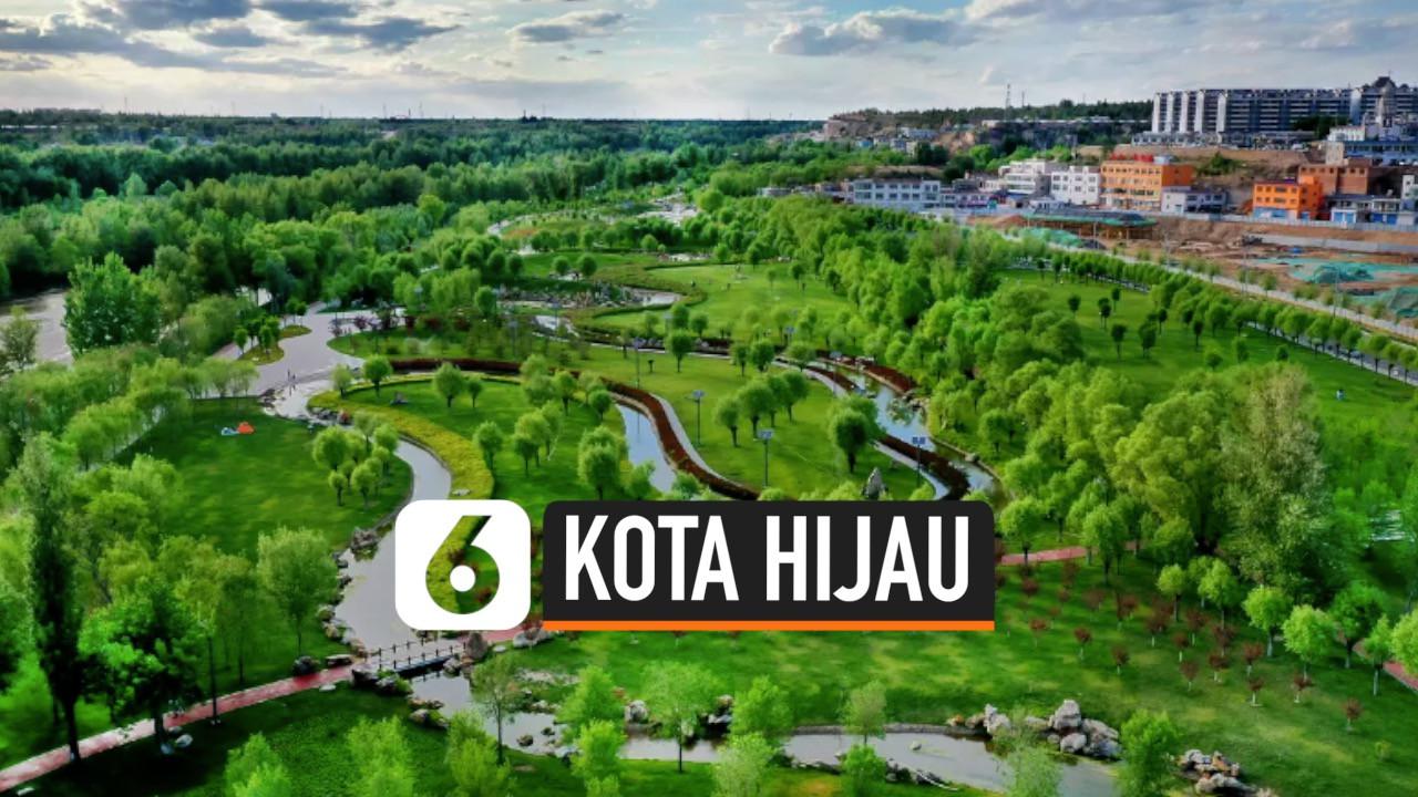 VIDEO: Melihat Hijaunya Yulin, Kota Hutan di China