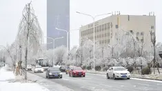 Sejumlah kendaraan melintas di sebuah jalan yang tertutup es di Changchun, Provinsi Jilin, China timur laut, pada 19 November 2020. Hujan lebat dan salju yang jarang terjadi disertai angin kencang melanda Changchun pada 18 dan 19 November. (Xinhua/Xu Chang)
