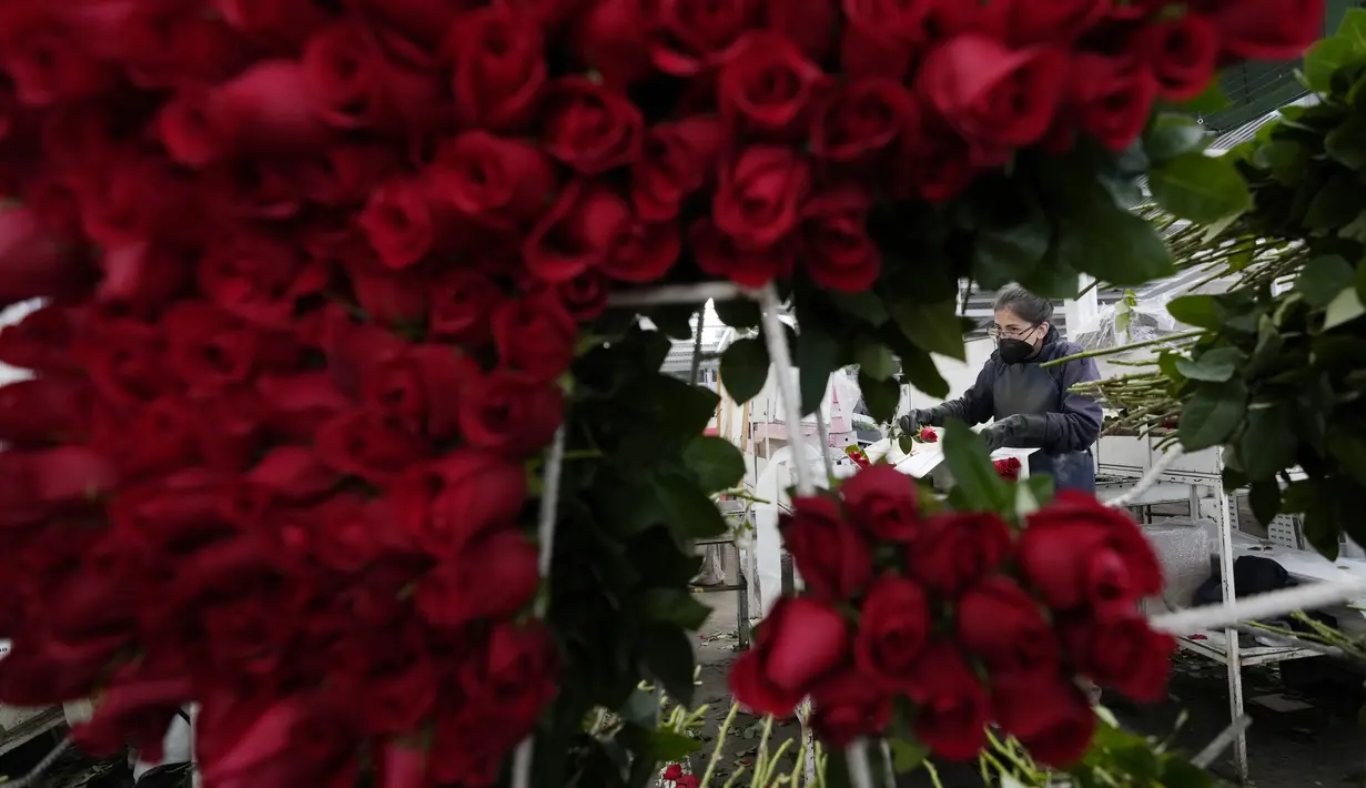 Seorang pekerja mengepak bunga mawar untuk dikirim menuju AS menjelang Hari Valentine, di perusahaan bunga Colibri di El Rosal, Kolombia, 25 Januari 2022. Kolombia menjadi salah satu negara terbesar penyuplai bunga di Hari Valentine. (AP Photo/Fernando Vergara)