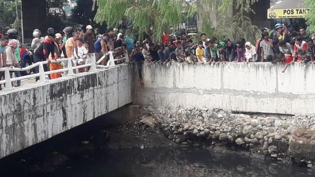 Kawanan buaya menghebohkan warga di Kali Grogol