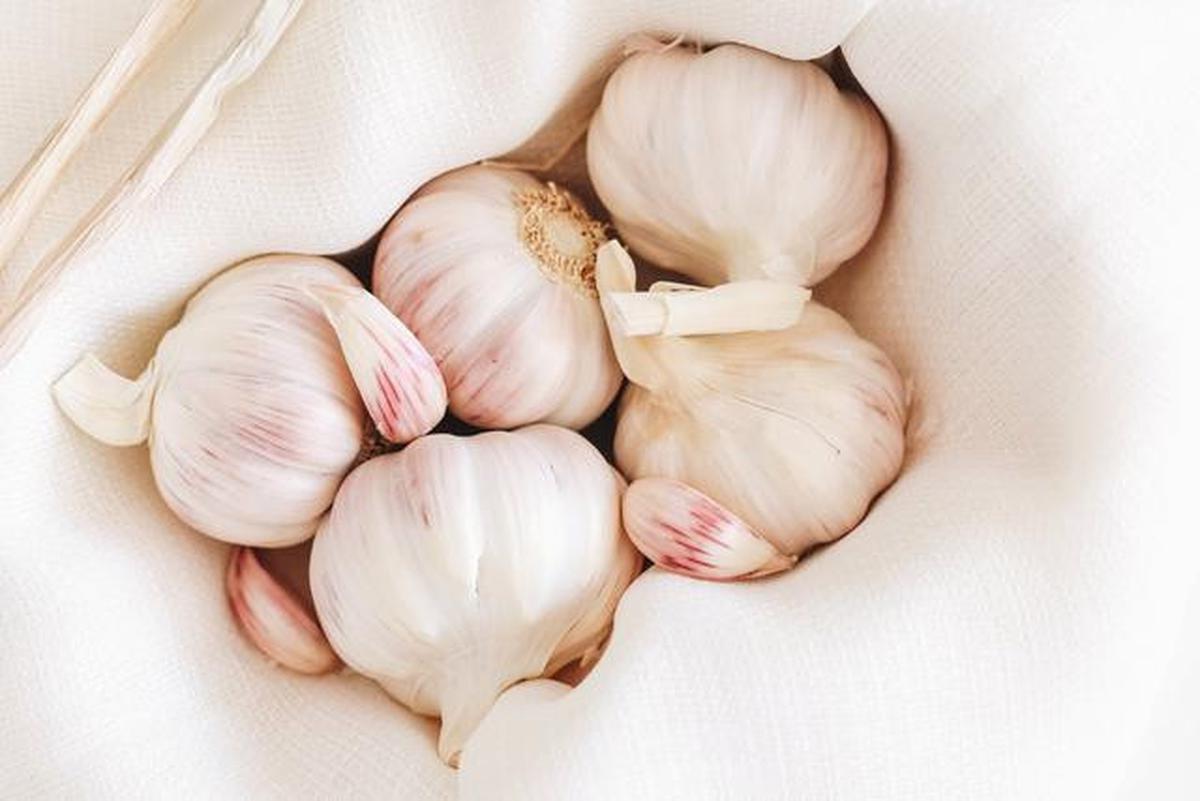 Bawang Putih.