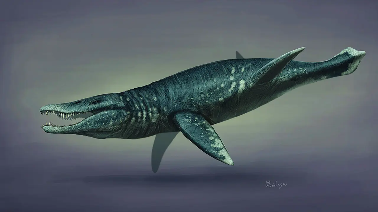 Plesiosaurus