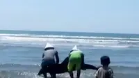 Seekor ikan lumba-lumba terdampar di Banggae, hingga aktivitas sejumlah bandara di Sumatera lumpuh akibat bencana kabut asap.