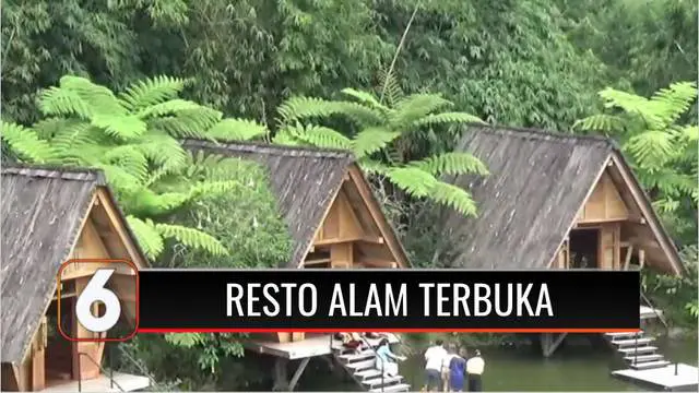 VIDEO: Berkonsep Alam Terbuka, Restoran Ini Cocok untuk Disambangi Kala Pandemi