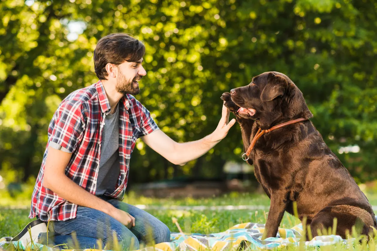 Dog and Owner