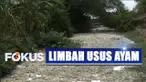 Selain air sungai tak bisa mengalir, sumber mata air di sekitar sungai pun tercemar tak layak konsumsi. Tanaman padi milik petani juga tak bisa tumbuh normal karena air limbah ini.