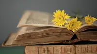 Rayakan Hari Buku Sedunia dengan menengok isi buku harian yang berusia 200 tahun ini yuk… (Ilustrasi: MIRIADNA.COM)