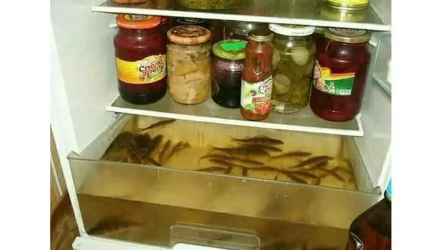 6 Potret Isi Kulkas Ini Nyeleneh Banget, Bikin Geleng Kepala
