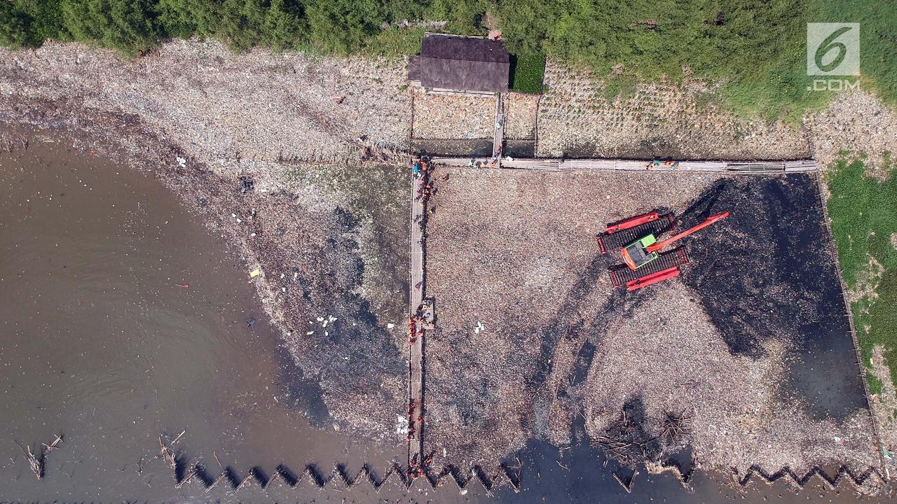 Bersihkan Tumpukan Sampah di Hutan Mangrove