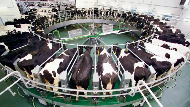 Launching Produk Baru, Susu UHT Greenfields Sekarang Punya Kemasan Kecil