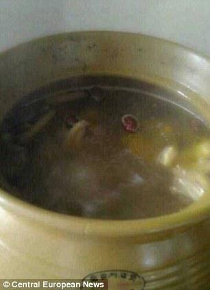 Li Jinbang memasak kucing tersebut menjadi sup | Photo copyright Dailymail.co.uk