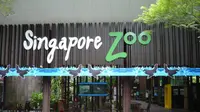 Kebun binatang di Singapura atau Singapore Zoo baru saja mendapatkan penghargaan sebagai kebun binatang terbaik di Asia,