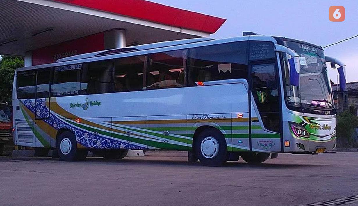 Rahayu Santosa Euroliner milik Scorpion Holiday.
