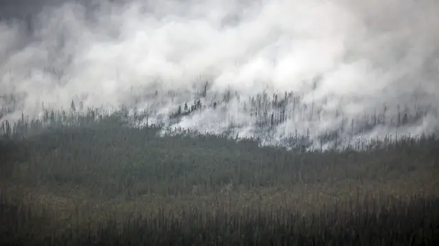 Kebakaran Hutan Kanada