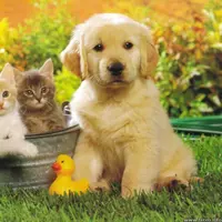 Berlibur ke luar kota? 