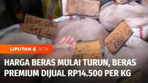 VIDEO: Kabar Gembira! Harga Beras Mulai Turun, Beras Premium Dijual Rp14.500 per Kg
