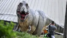 Seorang pria berdiri di depan replika dinosaurus Tyrannosaurus Rex seukuran aslinya di pusat kota Bochum, Jerman (12/8/2019). Pameran ini menampilkan 33 replika dinosaurus di sekitar pusat kota, berada di Bochum. (AP Photo/Martin Meissner)