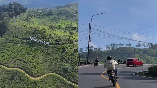 Suasana Puncak Bogor setelah PKL digusur