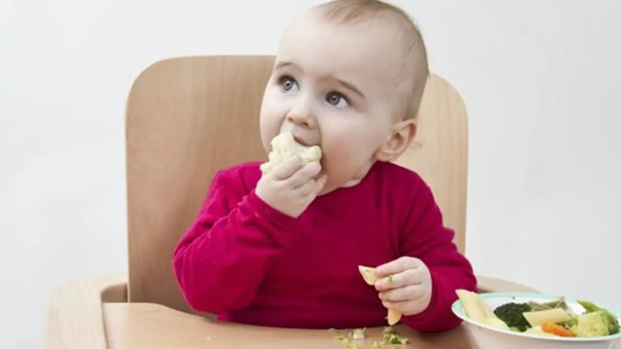 Baby Led Weaning./Copyright thinkstockphotos.com