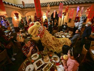 Anggota komunitas Tionghoa di Meksiko menampilkan tarian singa tradisional (barongsai) di sebuah restoran Tiongkok menyambut Tahun Baru Imlek di Mexico City, pada 31 Januari 2022. Tahun Baru Imlek 2022 menandai dimulainya tahun Shio Macan Air. (PEDRO PARDO / AFP)