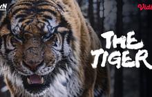 Sinopsis Film Korea The Tiger di Vidio, Kisah Haru Tentang Hubungan Manusia dan Penguasa Hutan