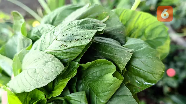 Daftar Makanan Sehat untuk Pasien Penyakit Jantung
