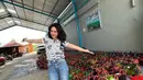 Inilah potret Happy Asmara yang sengaja mewujudkan nazarnya membagikan 1000 paket sembako. Dikemas dengan tas belanja pasar tradisional, paket sembako Happy Asmara dibagikan kepada orang yang membutuhkan. “Masih terharu krn bs mewujudkan nazar saya, di hari ulangtahun saya utk berbagi 1000 sembako. Alhamdulilah alhamdulilah 🥰. Maturnuwun Gusti Allah masih bisa jadi manfaat buat sesama !!!!,” tulis Happy Asmara. (Liputan6.com/IG/happy_asmara77)