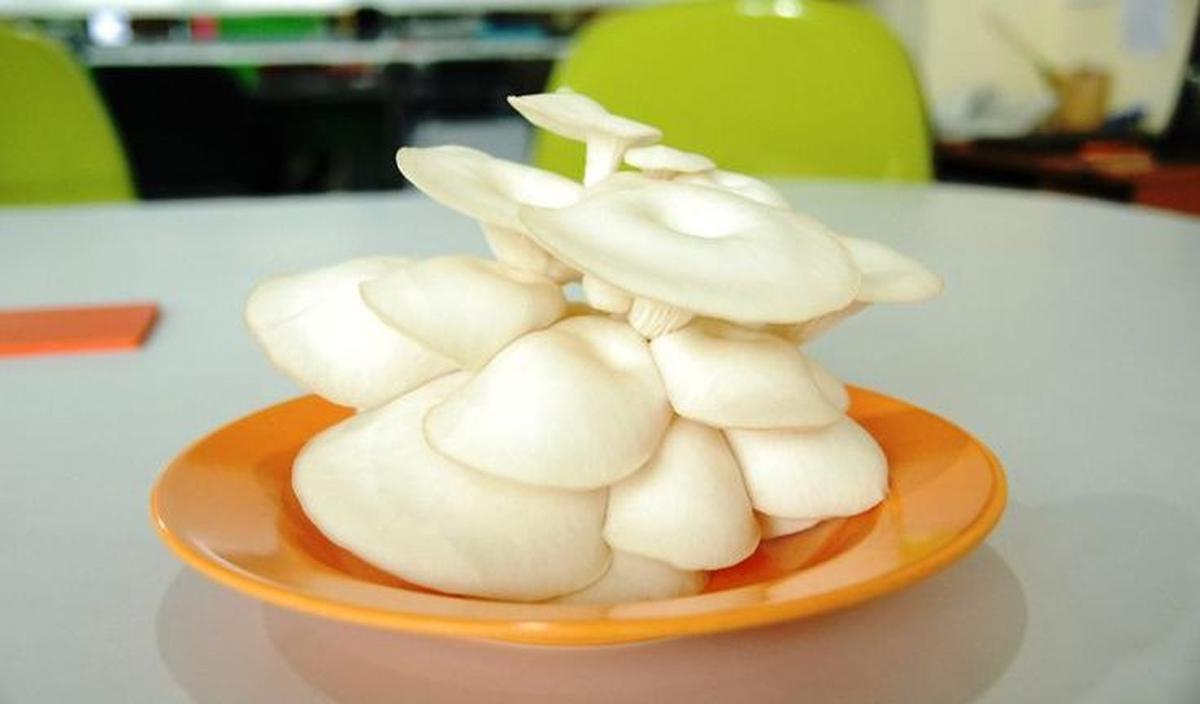 <b>1. Siapkan Jamur Tiram yang Akan Diolah</b>