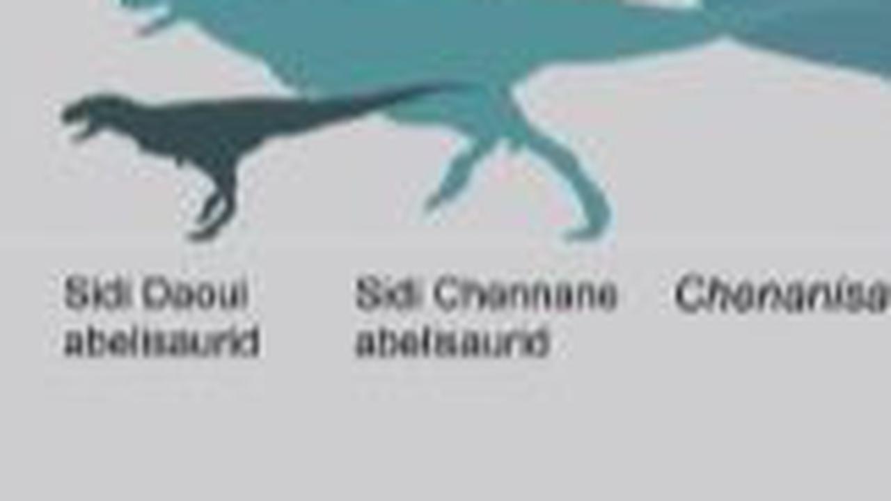 Fakta Lambeosaurinae Hadrosauridae (Dinosaurus Paruh Bebek)<br>
