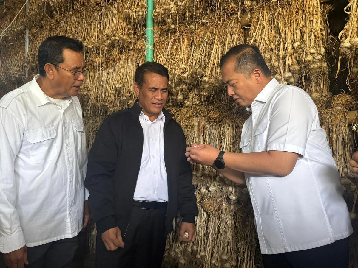 FOTO: NTB Diproyeksikan Jadi Pilar Jagung dan Bawang Putih Nasional