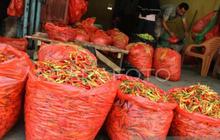 Intip Harga Cabai, Daging Sapi dan Beras Jelang Bulan Ramadan